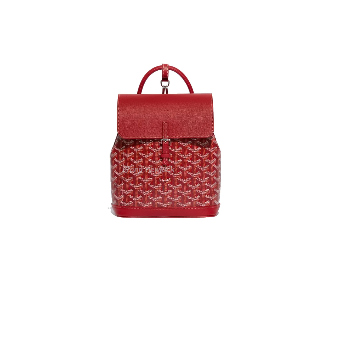 Goyard Alpin Mini Backpack 23 Cm X 9.5 Cm X 19 Cm (5) - www.newkick.vip